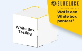 Afbeelding daarop met illustratie white box pentest ter opmaak van de pagina