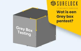 Afbeelding daarop met illustratie grey box pentest ter opmaak van de pagina