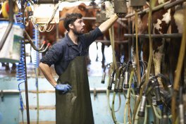 Boer aan het werk in zijn melkveehouderij autamtische melkmachine